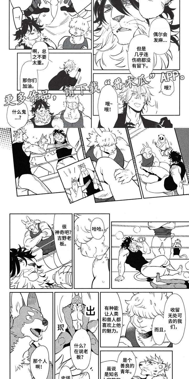 雄狮养成计划实践漫画,第6章：吃醋5图