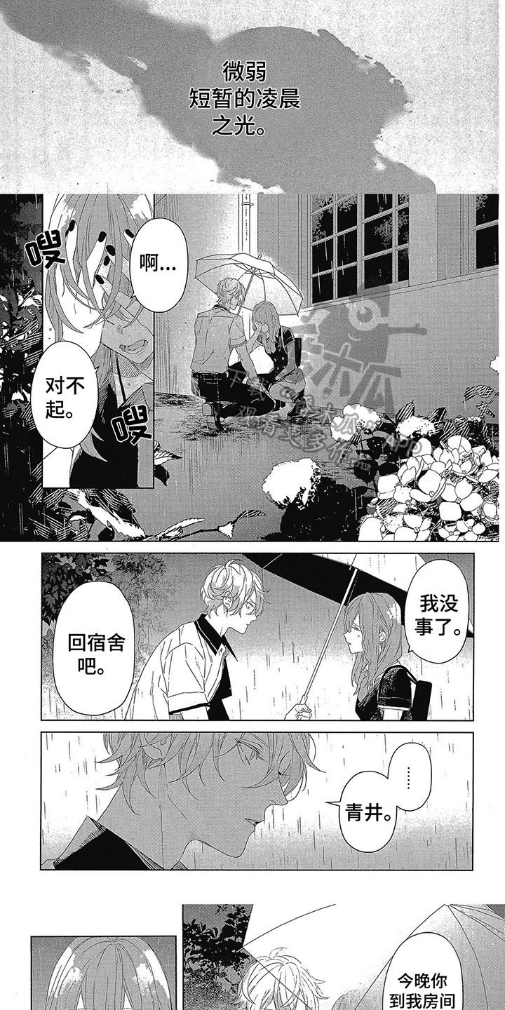 蓝香芥简介漫画,第21章：凌晨的光5图