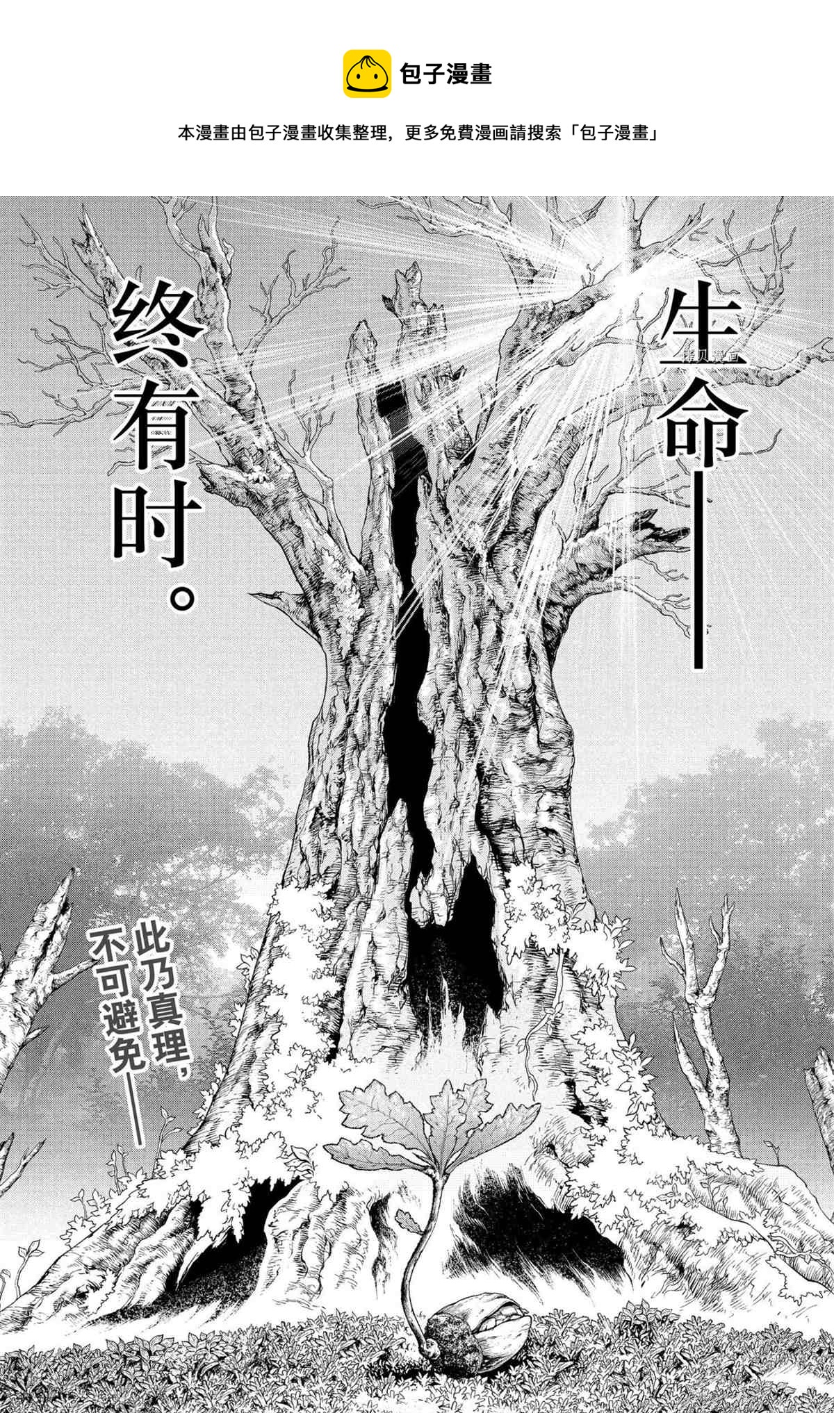 drstone石纪元大结局漫画,第230话1图