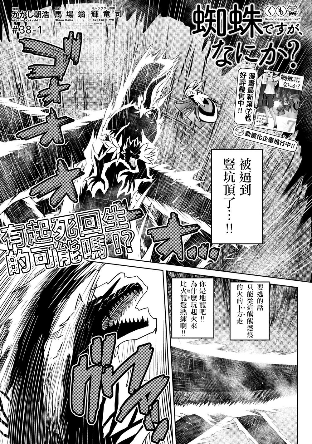 不过是蜘蛛而已漫画,第38话1图