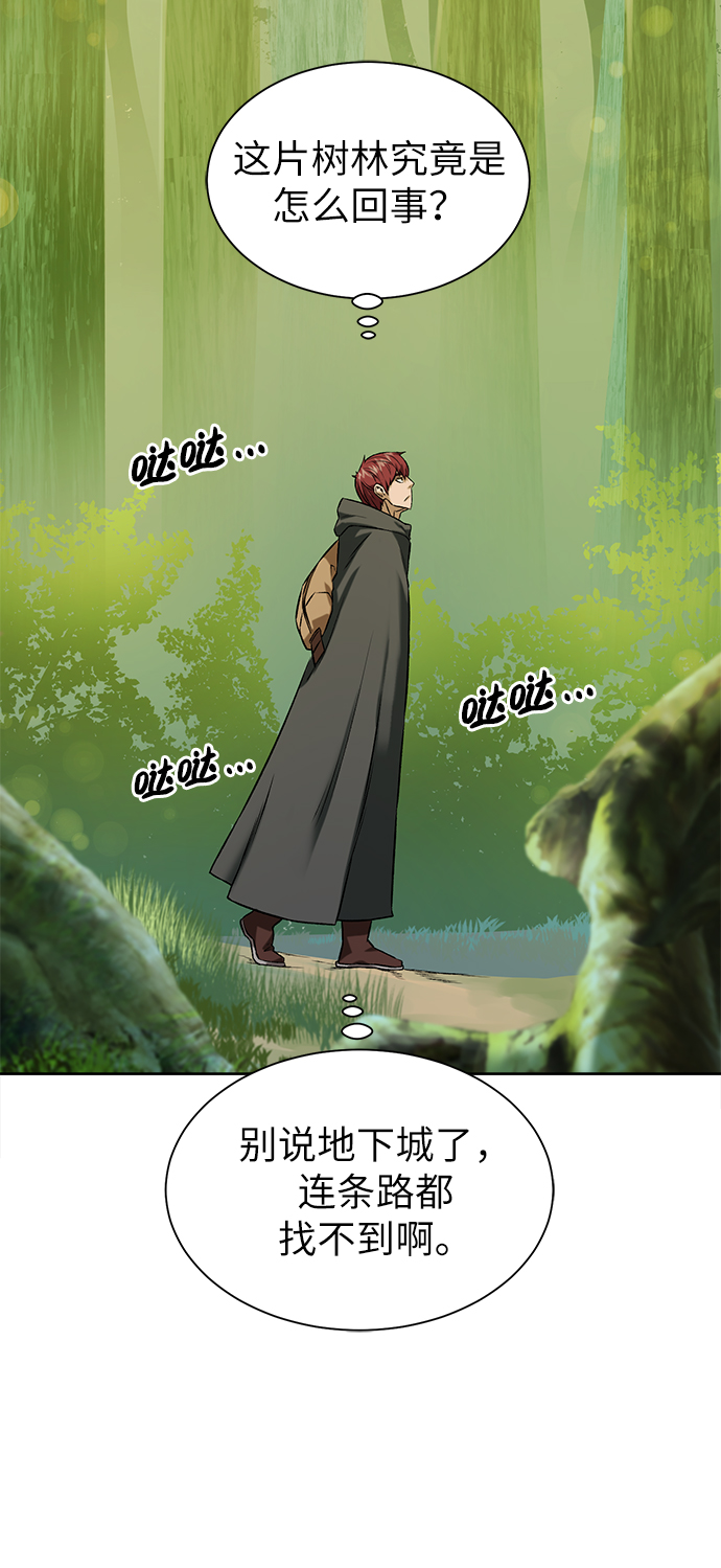 地下城复活币多少钱一个漫画,[第11话] 黑暗之林与精灵5图