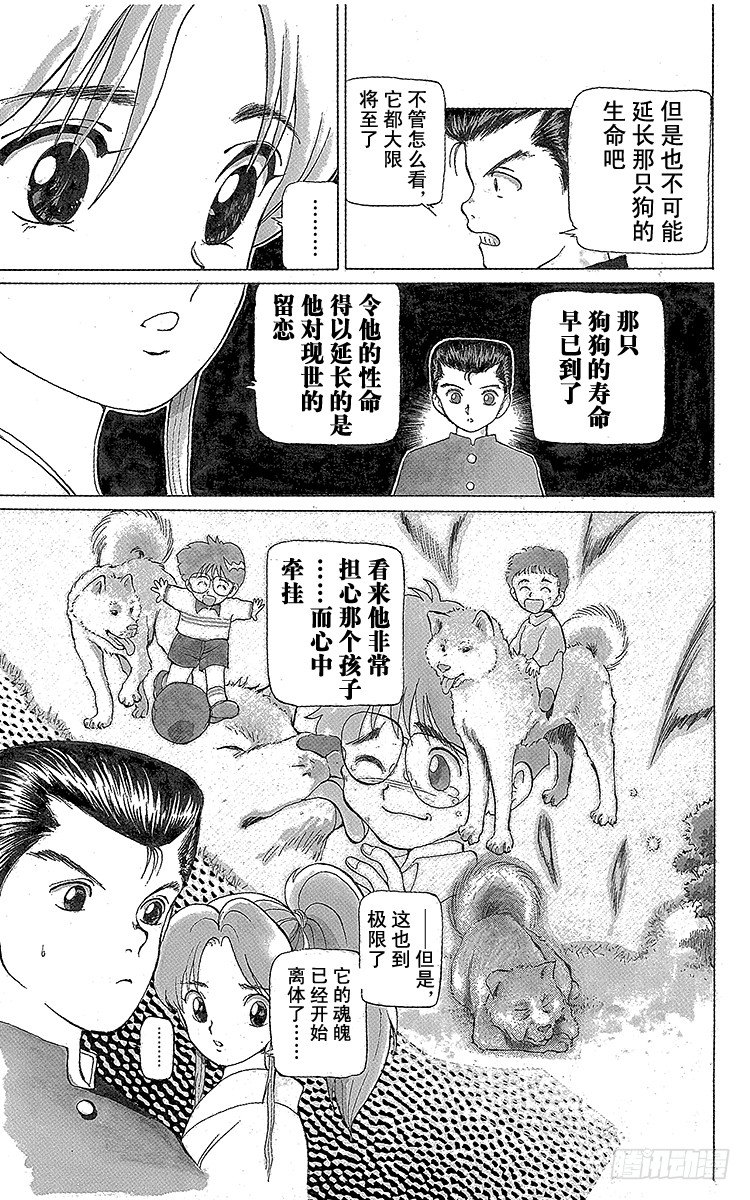 幽游白书免费全集在线观看漫画,第4话 老犬与少年！！之卷5图