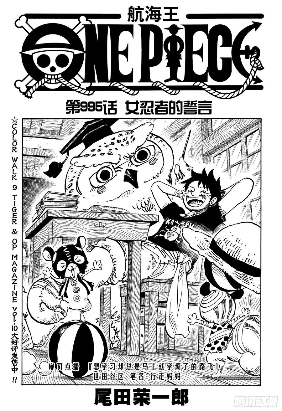 航海王热血航线黄猿漫画,第995话 女忍者的誓言1图